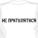 Печать на футболках 1 день 