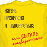 Футболки skillet 